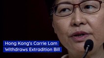 Hong Kong Protesters Successfully Eliminate Extradition Bill