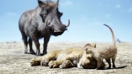 Il Re Leone Film Clip - Lo chiameremo Fred