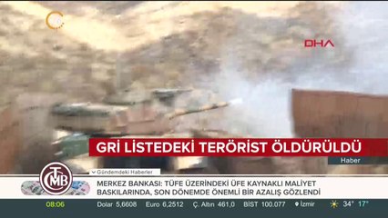 MİT ve Jandarma gri listedeki bir teröristi daha öldürdü