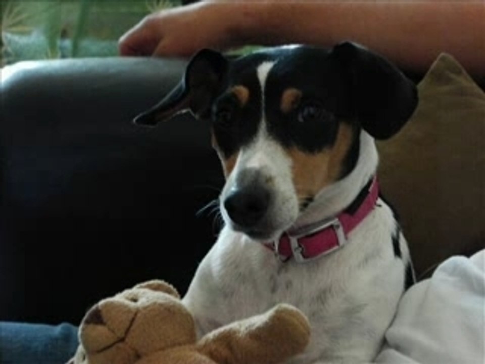 VIDEO LOLA