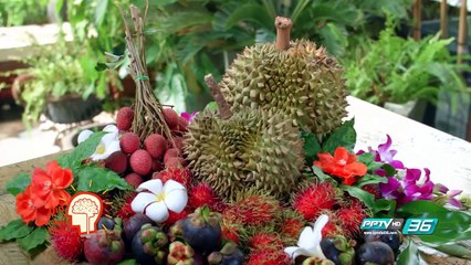 ทุเรียนถูกยกให้เป็น King of Fruits จริงหรือไม่ - Did you Know