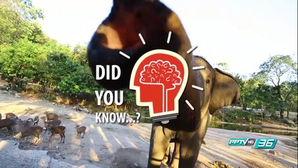 เวลาที่เป็นหวัดหรือแพ้อากาศ น้ำมูกมาจากไหน - Did you Know