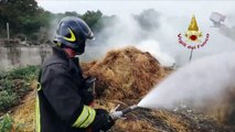 Incendio in una stalla a Noci: salvati gli animali dai Vigili del Fuoco