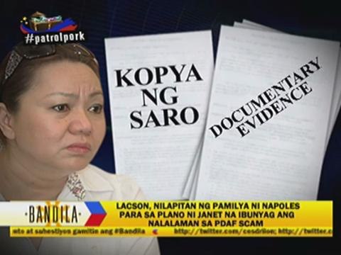 Napoles not pork scam mastermind, lawyer insists