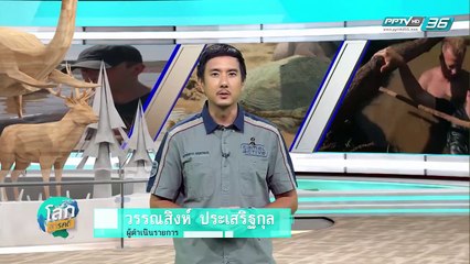 นักล่าแห่งวารี ตอนที่ 3 ปลาดุกยักษ์อสูรกายโคลน - โลกสารคดี (2/3)