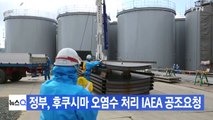 [YTN 실시간뉴스] 정부, 후쿠시마 오염수 처리 IAEA 공조요청 / YTN