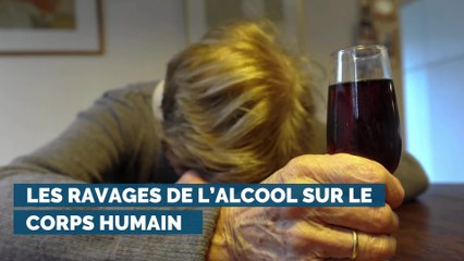Les ravages de l'alcool sur le corps humain
