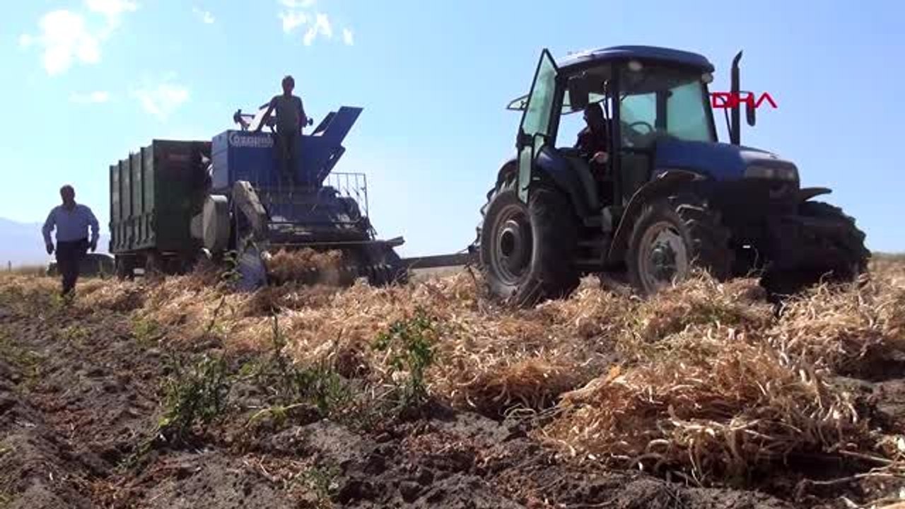 Bitlis türkiye'nin kuru fasulye ihtiyacının yüzde 10'u bitlis'ten