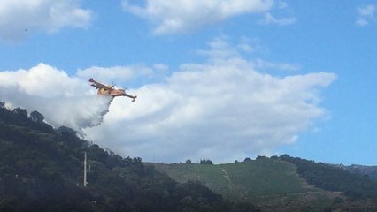 Incendie de Banyuls-sur-Mer