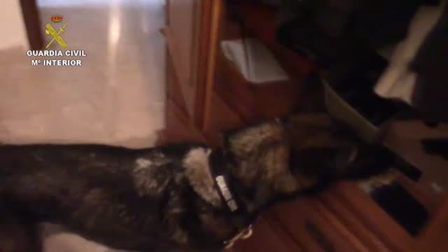 Cae una red dedicada al tráfico de hachís desde Marruecos a las costas de Málaga