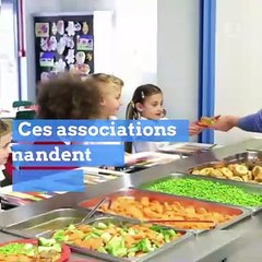 Trop de viande à la cantine ? Des parents d'élèves demandent davantage de menus végétariens