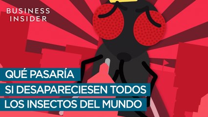 Qué pasaría si desaparecieran todos los insectos del mundo