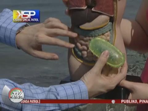 Why you shouldn't swim in Manila Bay