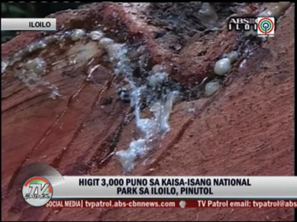 Illegal loggers cut 3,000 trees in Iloilo national park