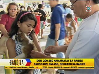 DOH steps up nationwide campaign vs rabies