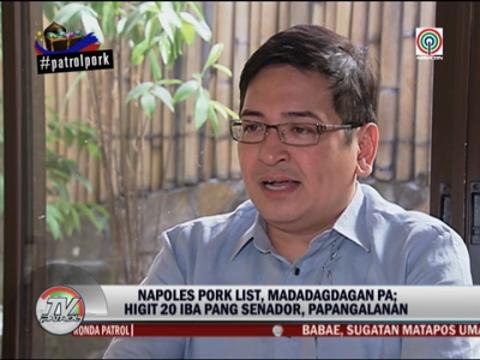 Lawyer: Napoles to name 20 other senators in 'pork scam'