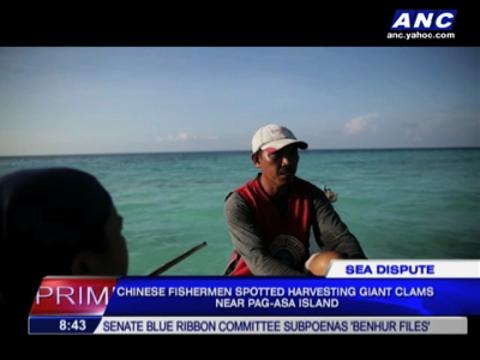 Chinese harvesting giant clams near Pag-asa island