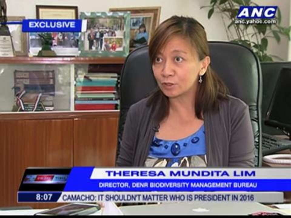 DFA alarmed by Chinese harvesting giant clams