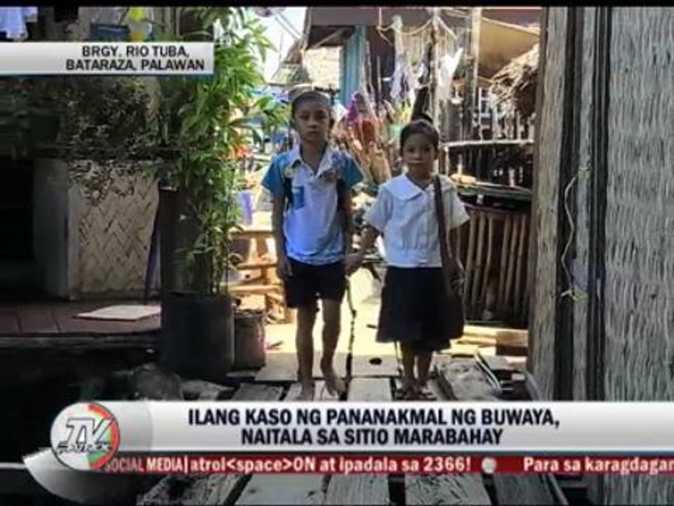 Palawan students cross crocodile-infested river for school