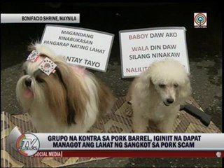 Groups stage 'pork' protest on Independence Day