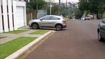 Atropelamento é registrado na Rua Londrina