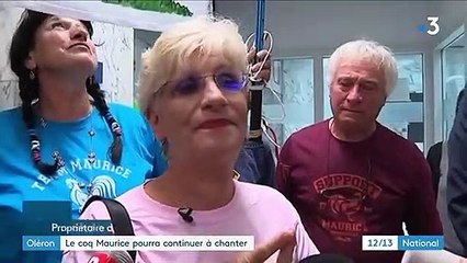 Oléron : le coq Maurice pourra continuer à chanter en toute légalité