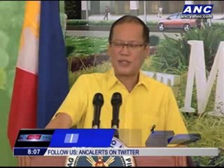 Why Revilla wants Supreme Court help