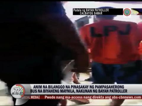 LOOK: Inmates allowed to ride pedicab, bus