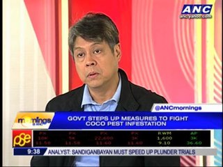 Alternative income eyed for farmers affected by 'cocolisap'