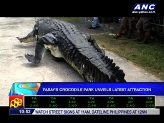 Pasay park unveils giant robot crocodile