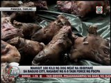 Over 100 kilos of dog meat seized