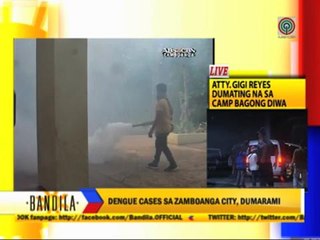 DOH alerts hospitals against dengue