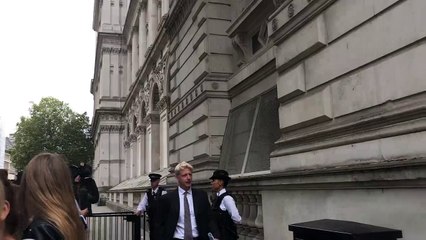 Boris Johnson's brother Jo resigns from government