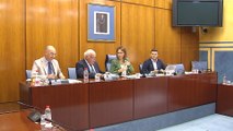 Consejero de Salud andaluz durante una comisión parlamentaria