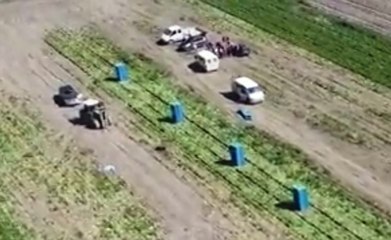 L'Aquila - Controlli contro caporalato nella piana del Fucino (05.09.19)