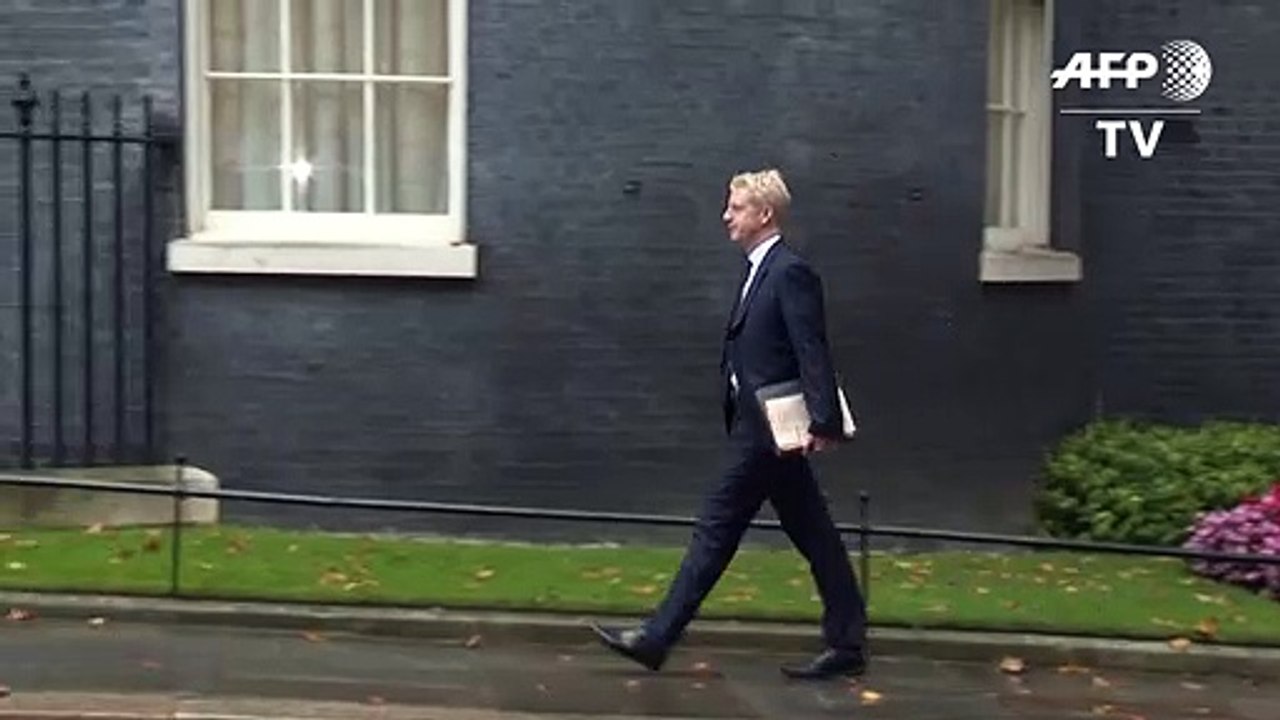 Boris Johnsons Bruder tritt als Abgeordneter und Staatssekretär zurück