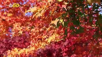 Best Destinations for Leaf Peeping This Fall You Probably Didn’t Know About