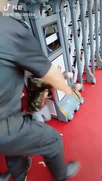 Ngày đầu tiên đi học cậu bé bỏ trốn khiến cả cô giáo lẫn phụ huynh khốn đốn