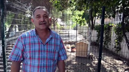 Söke'de 'Hayvan dostu okul' projesi - AYDIN