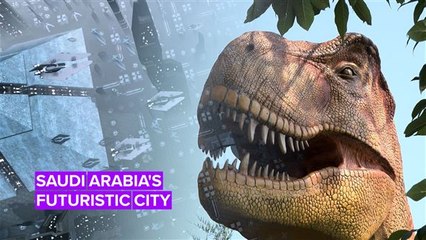 Saudi Arabia is building a €450 billion mega-city