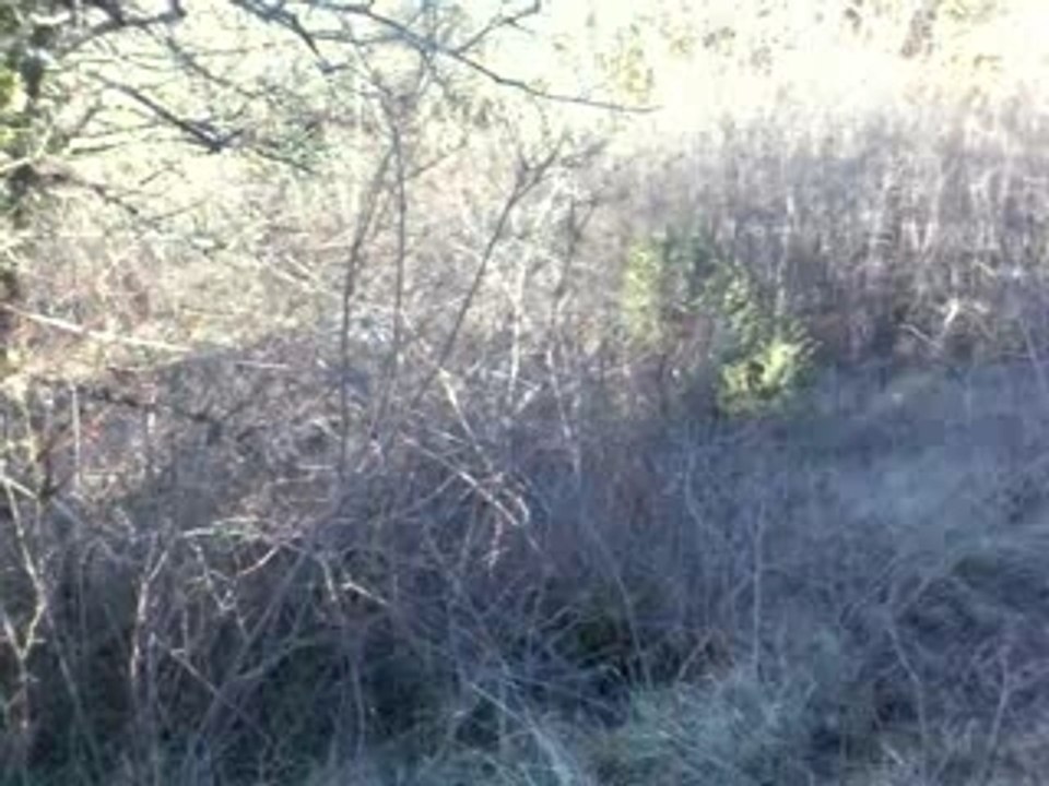 enduro David une cote de merde