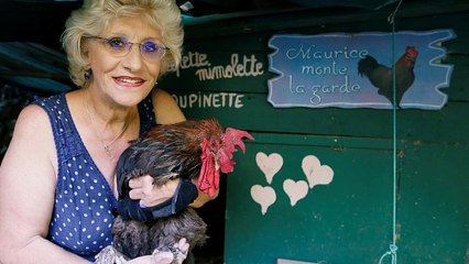 Свобода кукареть