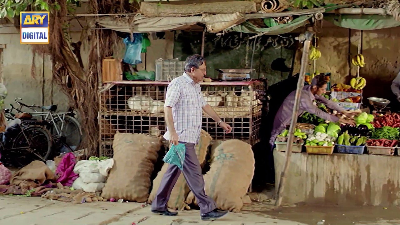 Gul-o-Gulzar Ep 13