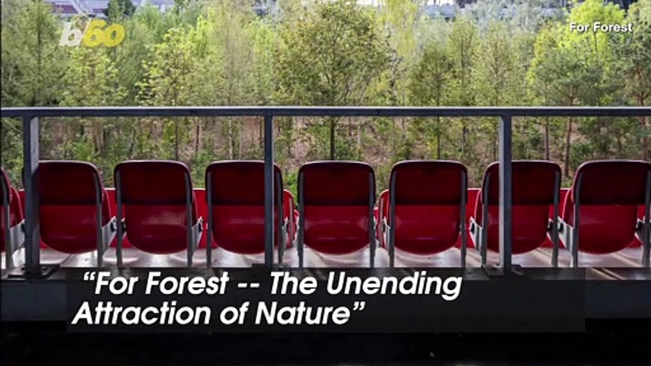 Tree Takeover! Soccer Stadium Filled with Hundreds of Trees for Art ‘Intervention’