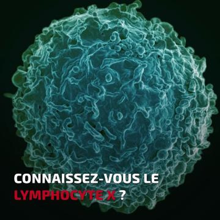 La bombe du lymphocyte X