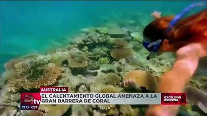 Calentamiento global amenaza a la Gran Barrera de Coral en Australia