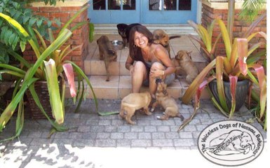 Mujer salva a 97 perros callejeros del huracán Dorian