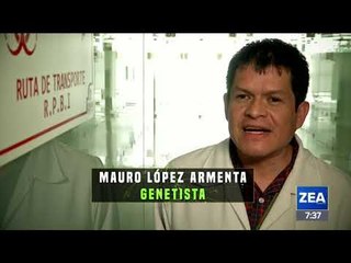 Esta es la historia de &#39;El Ponchis&#39;, el niño sicario mexicano | Noticias con Francisco Zea