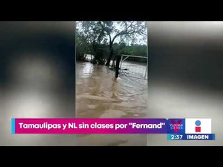 Nuevo León y Tamaulipas suspenden clases por la tormenta tropical "Fernand" | Yuriria Sierra