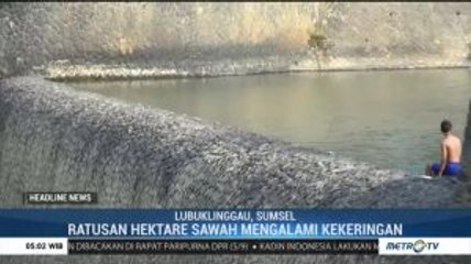 Kemarau Panjang, Bendungan Watervang di Lubuklinggau Mulai Mengering